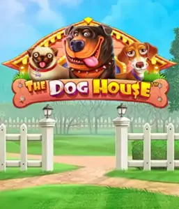 From Pragmatic Play comes The Dog House adventure, offering an adorable experience into the world of lovable dogs. Enjoy features including multipliers, perfect for providing exciting wins. A must-try for those who enjoy a lighthearted atmosphere with a chance for big wins.