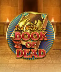 Embark on the thrilling world of Book of Dead Slot by Play'n GO, featuring vivid graphics of Rich Wilde’s adventurous journey through ancient Egyptian tombs and artifacts. Discover lost riches with engaging mechanics like free spins, expanding symbols, and a gamble option. Ideal for those seeking adventure with a desire for unearthing secrets.